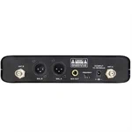 זוג מיקרופונים מדונה UHF 2